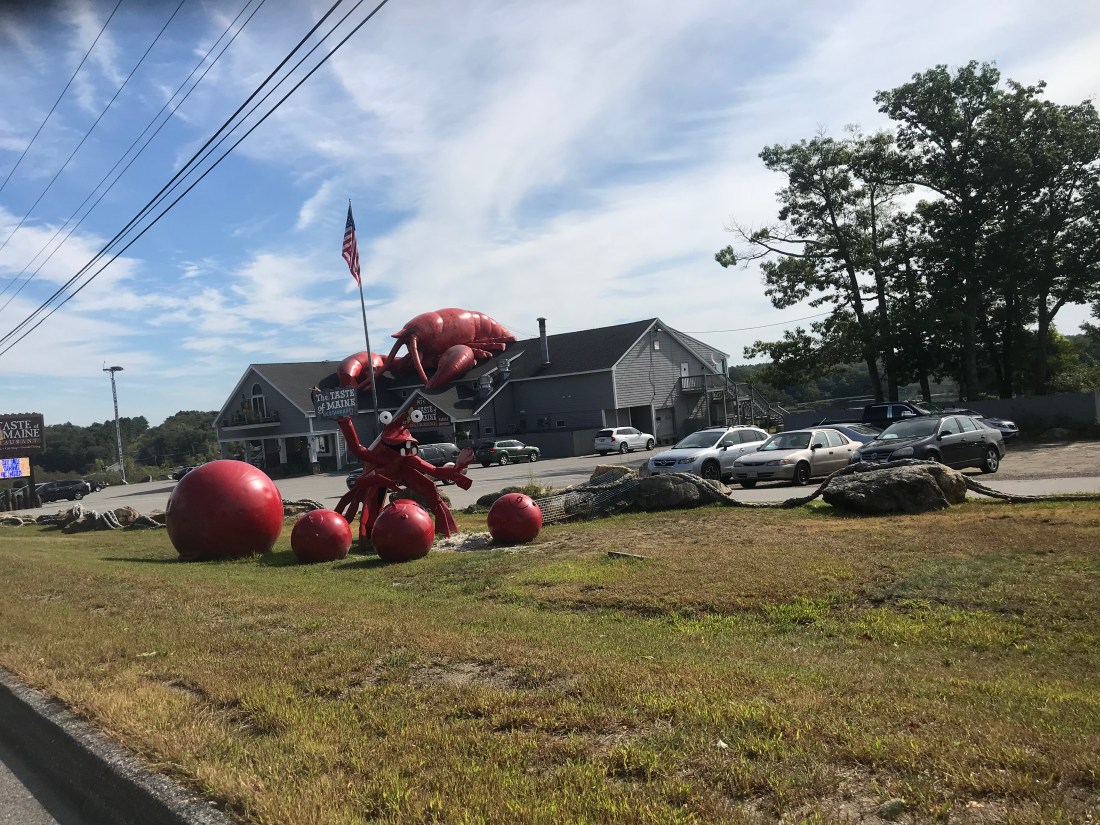 D7B69213-4AE5-4427-A3AD-A09F0A81A826